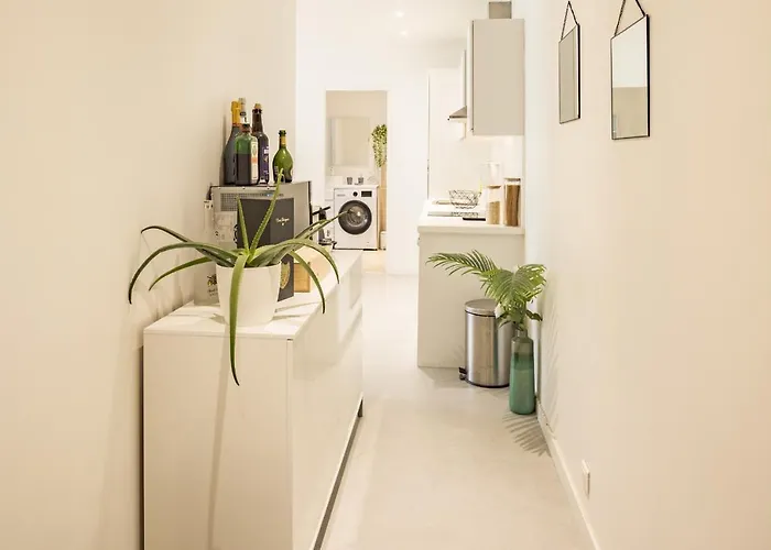 White Croco - Confort & *